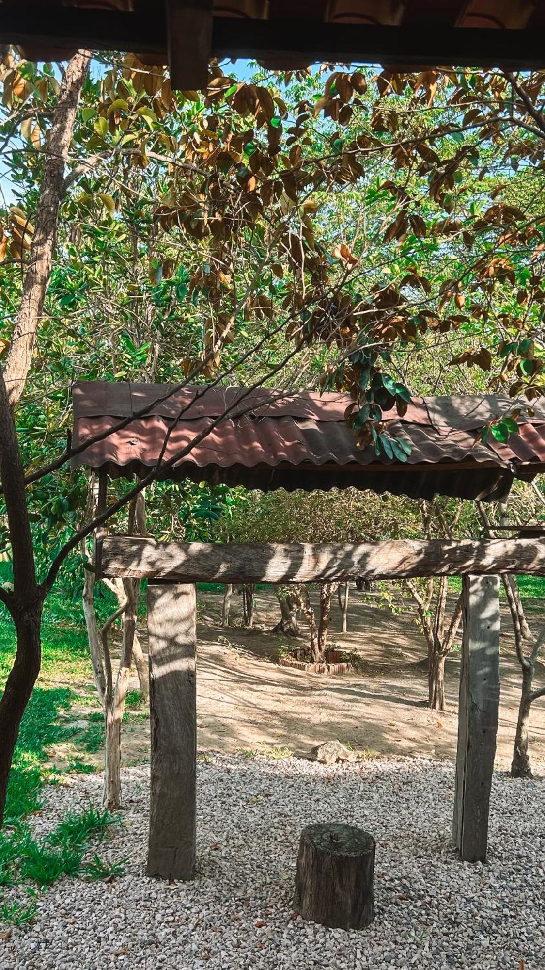 Pousada Varanda Da Serra Cavalcante Buitenkant foto